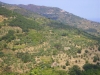 Panorama della valle del Timeto 1