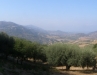 Panorama della valle del Timeto 15
