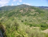 Panorama della valle del Timeto 20