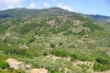 Panorama della valle del Timeto 22