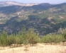 Panorama della valle del Timeto 32