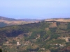 Panorama della valle del Timeto 5