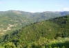 Alta valle del Timeto: panorama 10