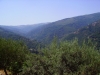 Alta valle del Timeto: panorama 11