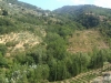 Alta valle del Timeto: panorama 13