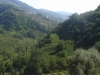 Alta valle del Timeto: panorama 14