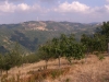 Alta valle del Timeto: panorama 17