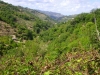 Alta valle del Timeto: panorama 18