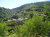 Alta valle del Timeto: panorama 2