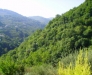Alta valle del Timeto: panorama 23