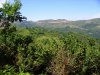 Alta valle del Timeto: panorama 26