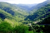 Alta valle del Timeto: panorama 29