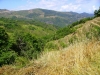 Alta valle del Timeto: panorama 32