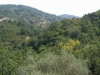 Alta valle del Timeto: panorama 36