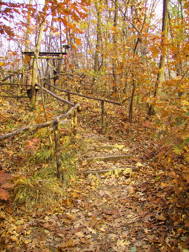 Sentieri nel parco 1