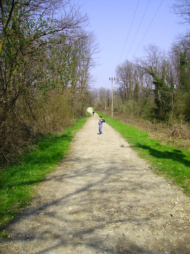 Sentieri nel parco 2