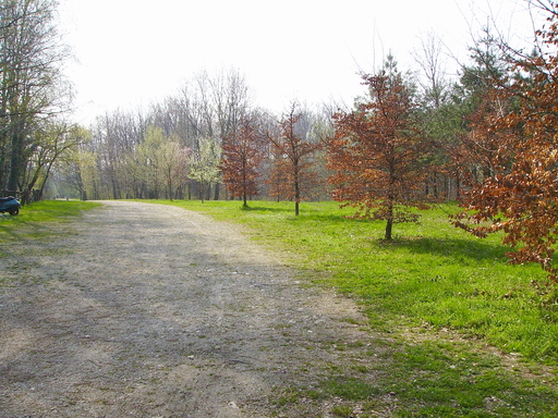 Sentieri nel parco 3