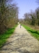 Sentieri nel parco 2