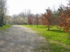 Sentieri nel parco 3