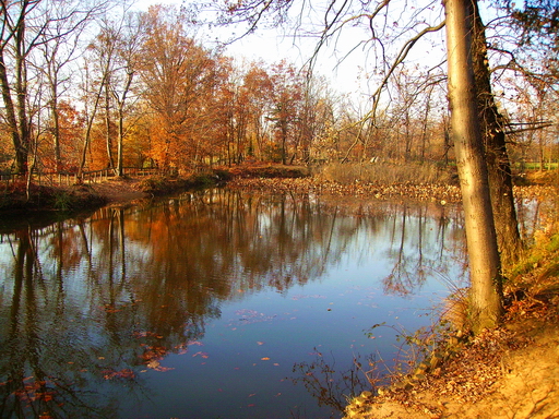Scorcio autunnale 1