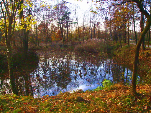 Scorcio autunnale 10