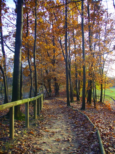 Scorcio autunnale 12