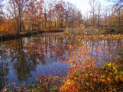 Scorcio autunnale 3