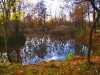 Scorcio autunnale 10