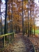 Scorcio autunnale 12