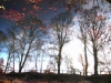 Scorcio autunnale 12