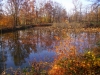 Scorcio autunnale 3