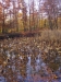 Scorcio autunnale 5