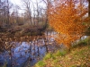 Scorcio autunnale 8