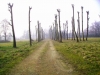 Cascina Mordina: uno scorcio 6
