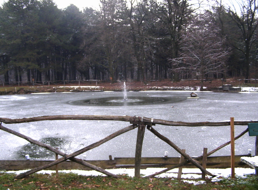 Sotto la neve 1