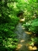 Torrenti nel parco 2