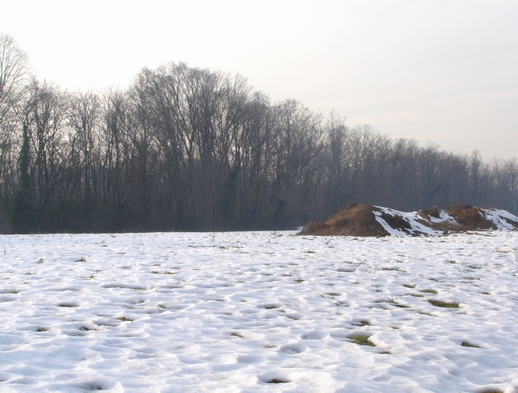 La neve nel Parco 1