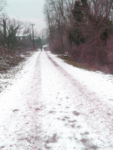 La neve nel Parco 3