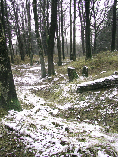 La neve nel Parco 4