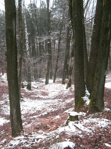 La neve nel Parco 5