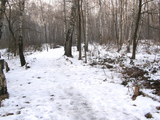 La neve nel Parco 7