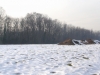 La neve nel Parco 1