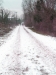 La neve nel Parco 3