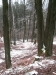 La neve nel Parco 5