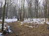 La neve nel Parco 6