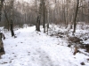 La neve nel Parco 7