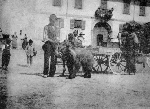 Piazza Cavour 5