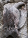 Cappella delle Rocche: particolare 1