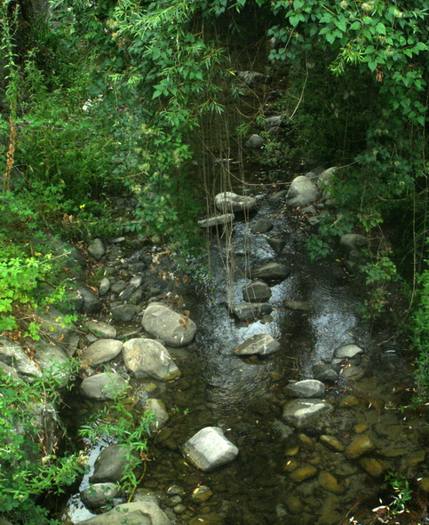 Ambiente del fiume Timeto: scorcio 4