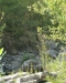 Ambiente del fiume Timeto: scorcio 1